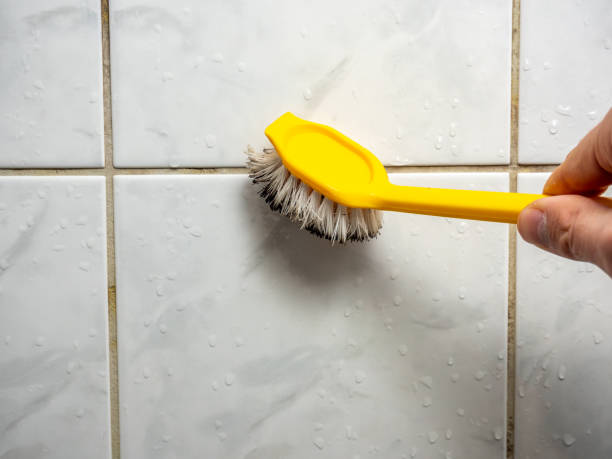 Best Black Mold Removal  in Emigration Canyon, UT