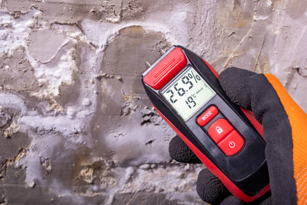 Emigration Canyon, UT Mold Removal Company