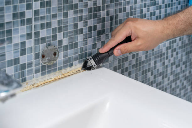 Best Mold Cleaning Services  in Emigration Canyon, UT