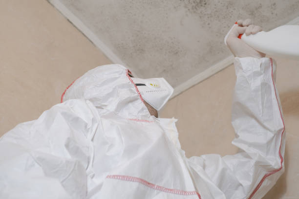 Best Certified Mold Removal  in Emigration Canyon, UT